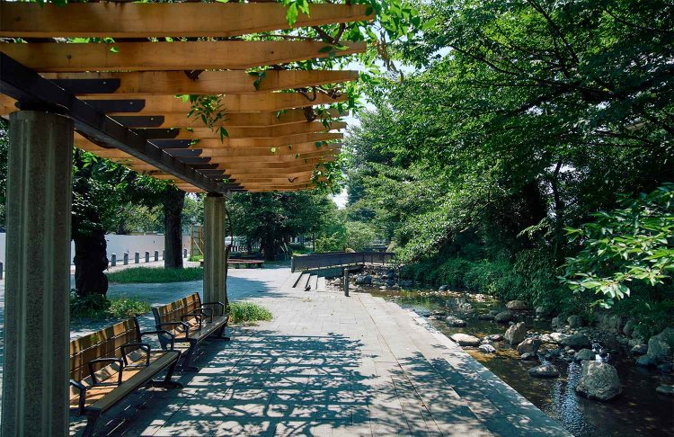 根川緑道のせせらぎ。水辺の散歩は涼しい。