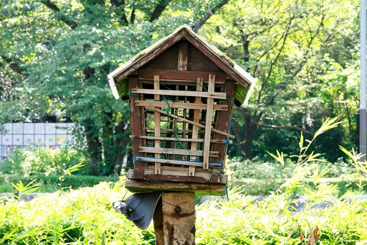 【散歩の達人】国立の三角形_7