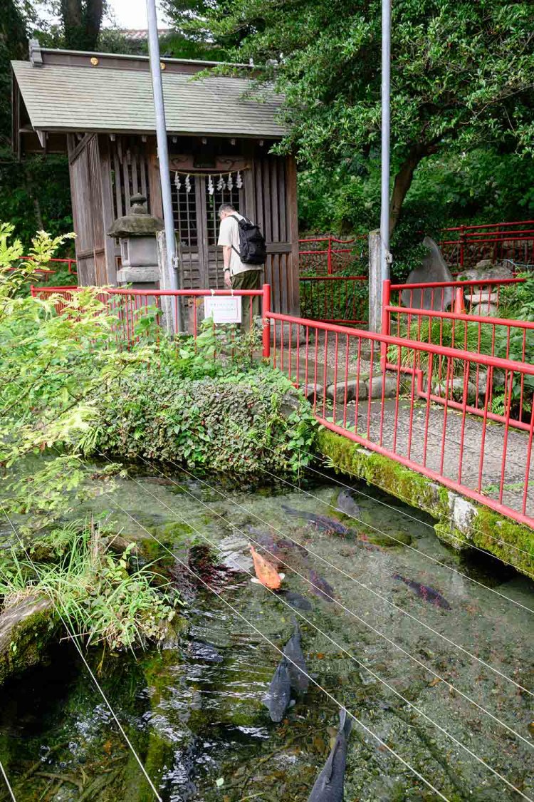 【散歩の達人】谷保天満宮_2