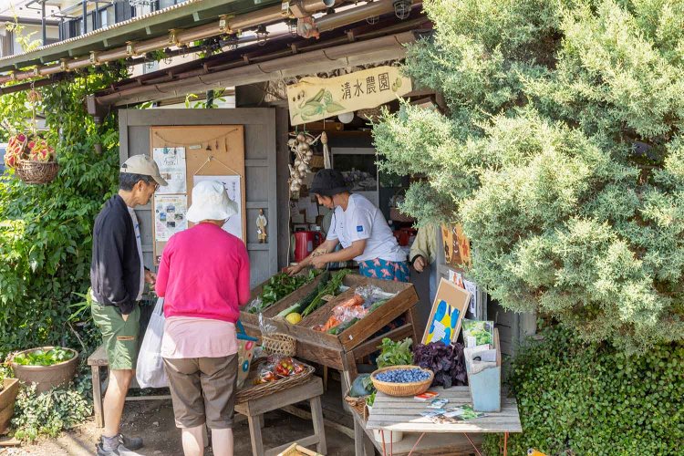気さくなケイ子さんや美知さんとの会話を楽しみに来る客も多い。秋のハロウィンなど、直売所は季節ごとに飾りつけ。