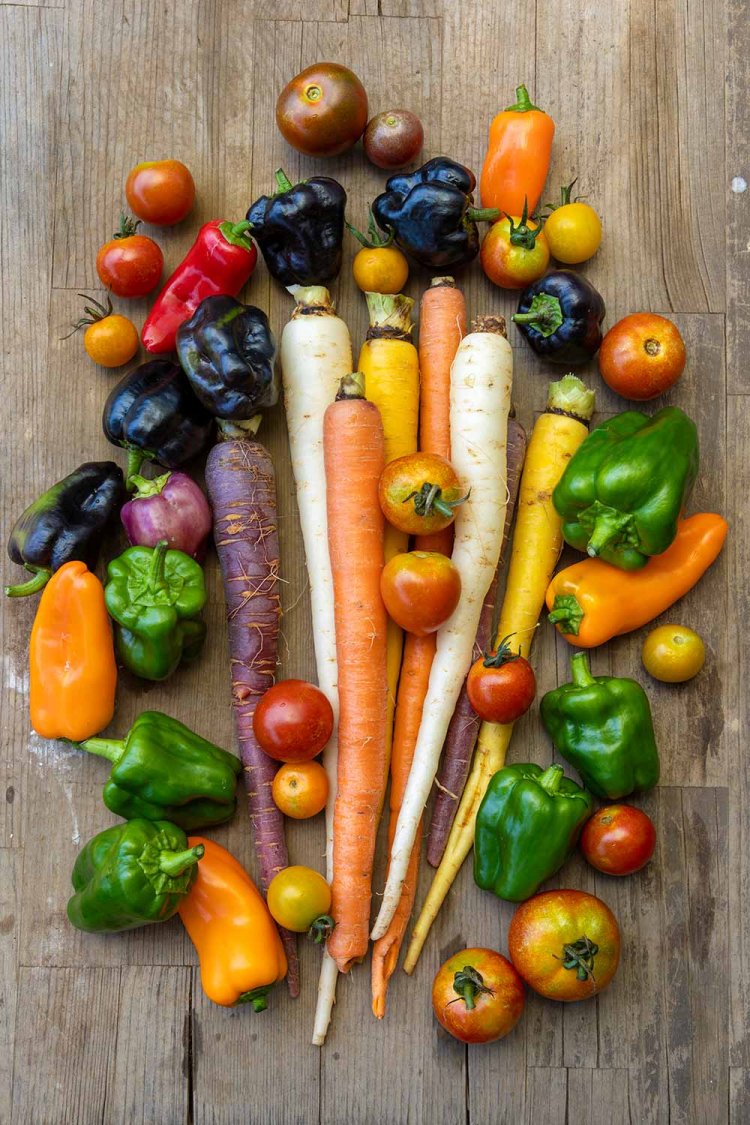 年間に育てる野菜はカラーピーマンやカラフルニンジンなど、西洋野菜をメインに約80種。「お客さんに『ワオ！』って言わせるような野菜を作りたいんです」。