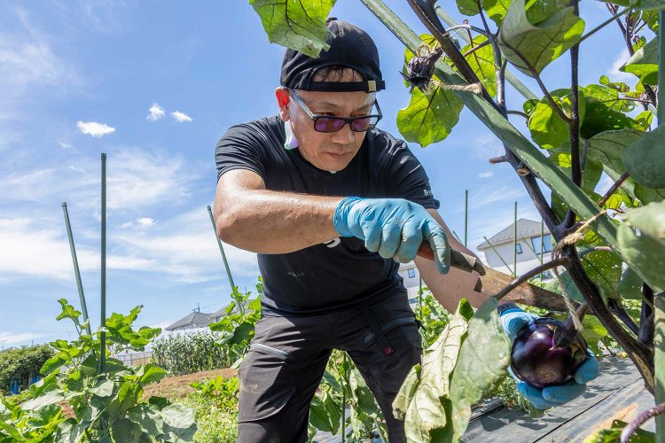 「農地は面白いことが生まれる場所・面白いものをつなぐ場所になりえると思う」と島﨑さん。2025年11月には畑の隣で、地元飲食店も出店するマルシェを開催。