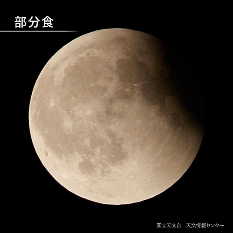部分食の様子（画像＝国立天文台）。