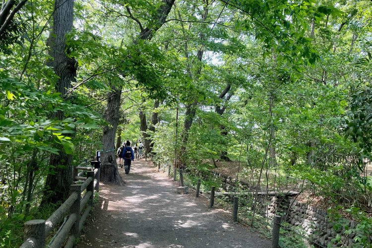 玉川上水に沿った緑道。「ムサビ」への通学ルートの一つになっている。