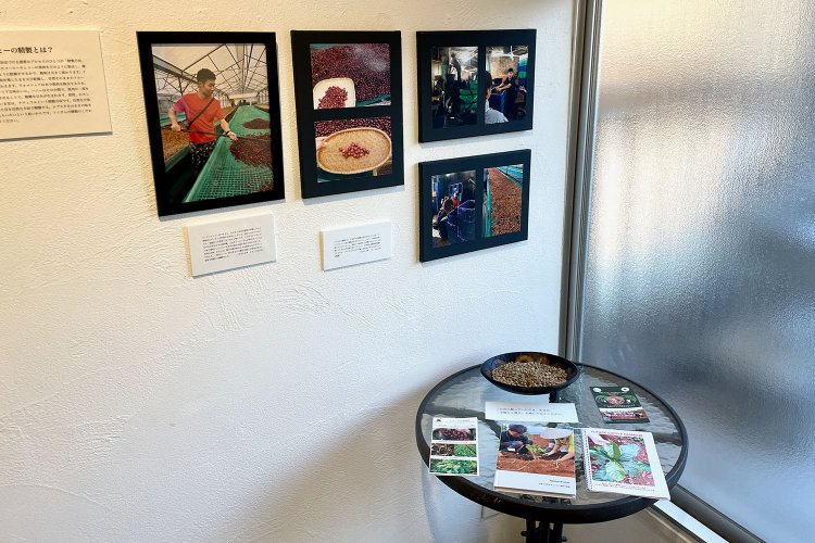 展示作家の竹内さんはベトナムに通い、ロブスタ種というコーヒー豆を無農薬栽培する農園の風景を記録している。