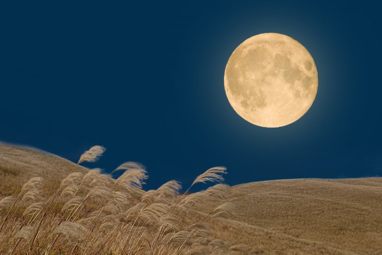秋の夜長にお月見散歩はいかが？（画像＝写真AC）。
