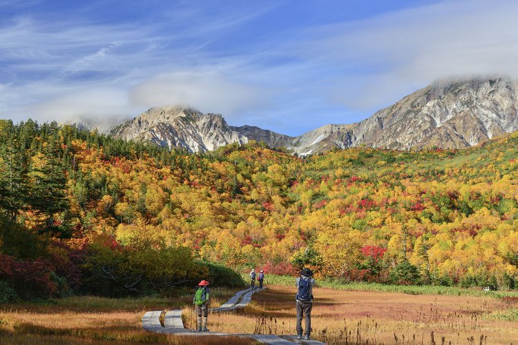 長野県の栂池自然園で絶景の紅葉散策を（写真＝栂池自然園ビジターセンター）。