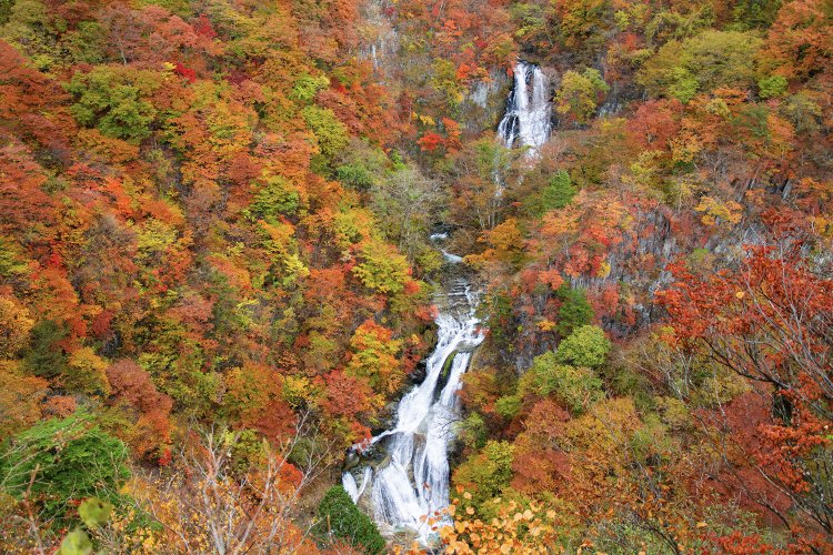 華厳の滝と並ぶ、日光三名瀑の一つ・霧降滝（写真＝PIXTA）。