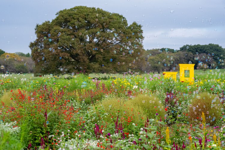 さまざまな草花が楽しめるブーケガーデンでシャボン玉がただよい、メルヘンチックな雰囲気に。