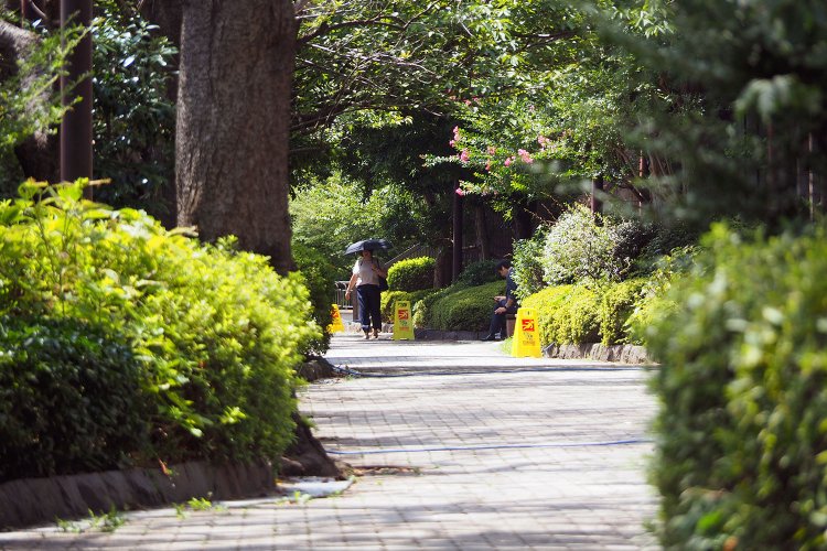 御殿山庭園へと続く小道。生垣の向こうには山手線も見える。