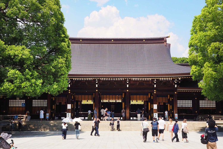 本殿の前には大きなクスノキが。