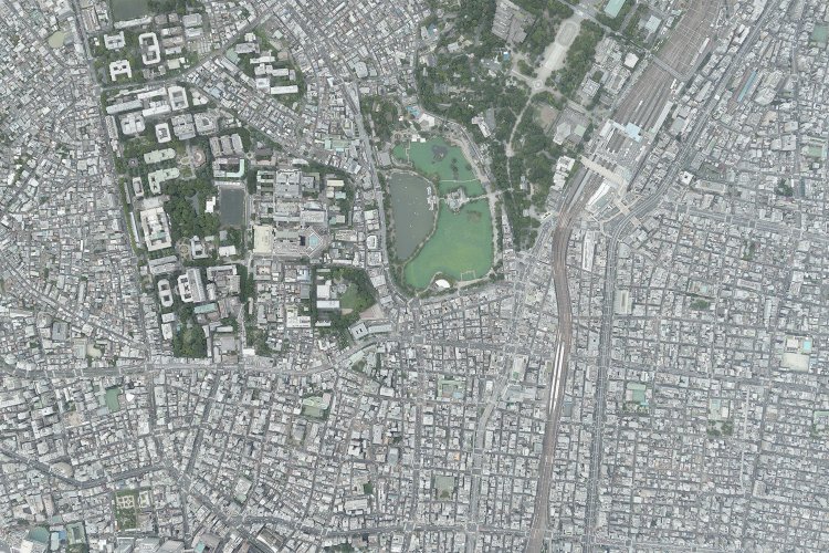 2019年に撮影された不忍池周辺の空中写真（写真提供＝国土地理院）。