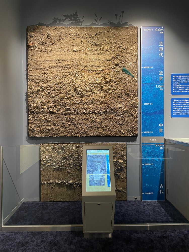 浦安の地層。昔から貝が多くあったこと、集落の形成時期の裏付けになることがわかる。