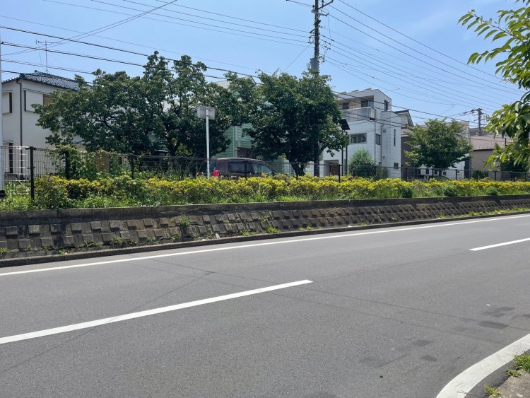 市役所通りの浜土堤。