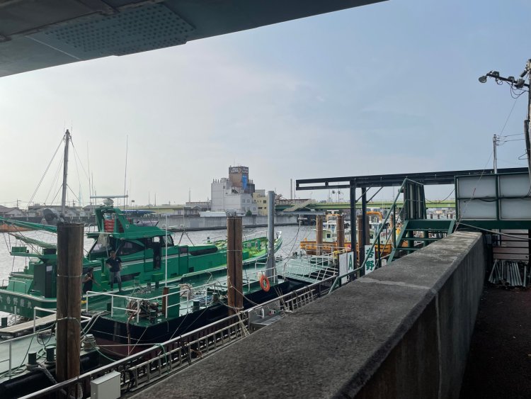 妙見島（東京都江戸川区）の南端が見える。