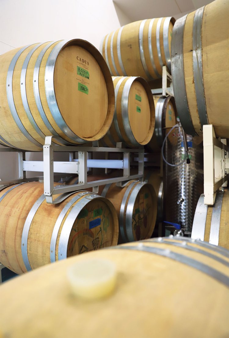 ワイナリーは前日までの予約で見学可能。