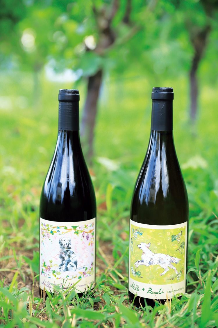 右からフレッシュさと樽発酵の複雑味もあるソーヴィニヨンブラン、エレガントな味わいのカベルネフラン各3900円（各720㎖）。醸造は『テールドシエル』に委託。