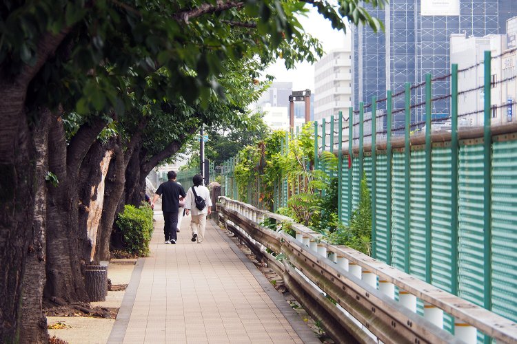 線路沿いのすがも桜並木通り。春を迎えると、桜と鉄道を同時に楽しむことができる。