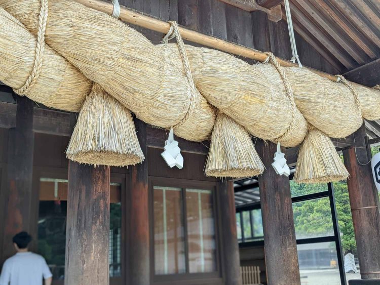 【酒場ナビ】季節料理-やまいち_4