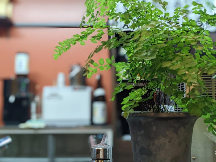 【酒場ナビ】季節料理-やまいち_13