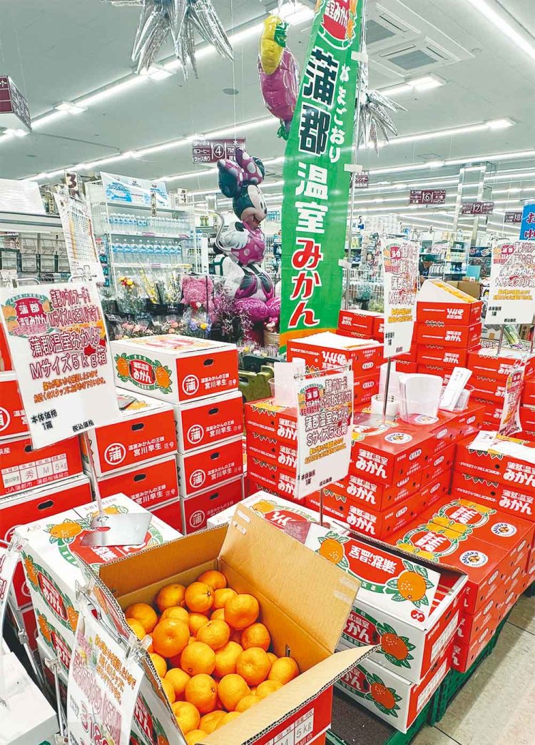 【旅の手帖】サンヨネ蒲郡店_18