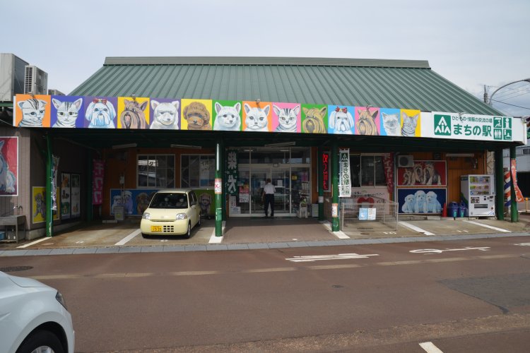 松田ペット実店舗周辺の大島地区は、看板の宝庫。