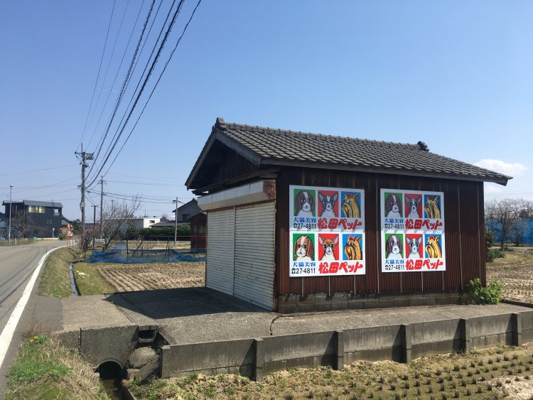 「松田三連星」のバリエーションを一気に鑑賞できるスポット。