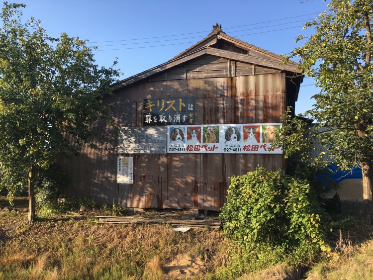 松田ペット看板は、多種多様な看板と群れがち。