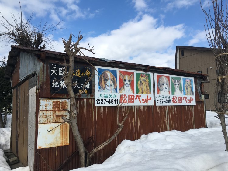 キリスト看板とのコラボも長岡らしい風景の一つ。