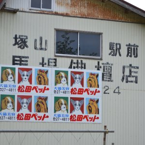 新潟県長岡市の路傍を彩る目力の強い犬たち。新稲ずなさんに伺う、「松田ペット看板」の味わい　