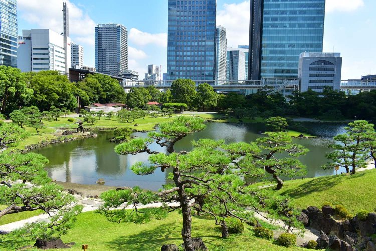 南側の大山からの眺め。左には雪見灯篭が見える。庭園の広さは東京ドーム約1個分。
