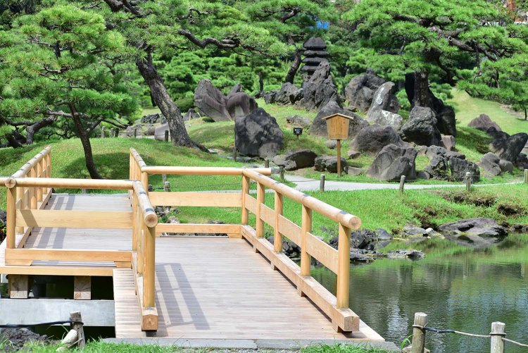 池の中央にある中島は園景の要。庭師が丁寧に管理する松の美しさにも注目！