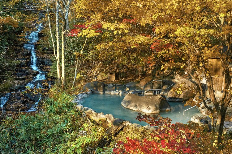 「八重九重の湯」では、絵画のような紅葉を独り占め（10月下旬～11月上旬）。