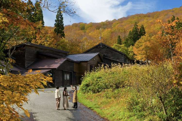 「温泉紅葉プライベートツアー」へ。
