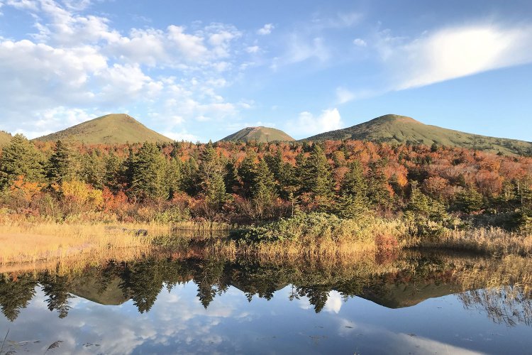北八甲田連峰の眺望が美しい睡蓮沼は、谷地温泉とセットで訪れる。