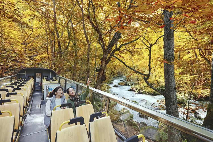 オープンバスから目に映るのは360度の絶景。同乗する「渓流コンシェルジュ」の知的好奇心をくすぐるトークも！