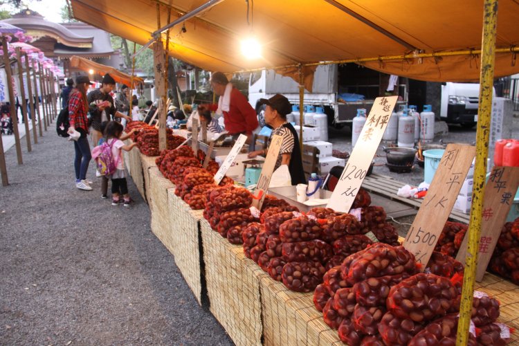 旬の栗を売る店が参道に並ぶ。ほかの祭りでは見られない光景だ。