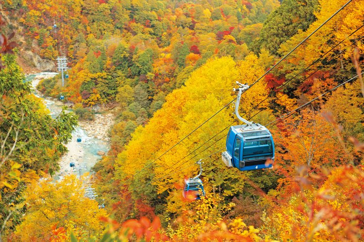 14号柱付近は急勾配を下り、清津川の谷あいの絶景が待っている。