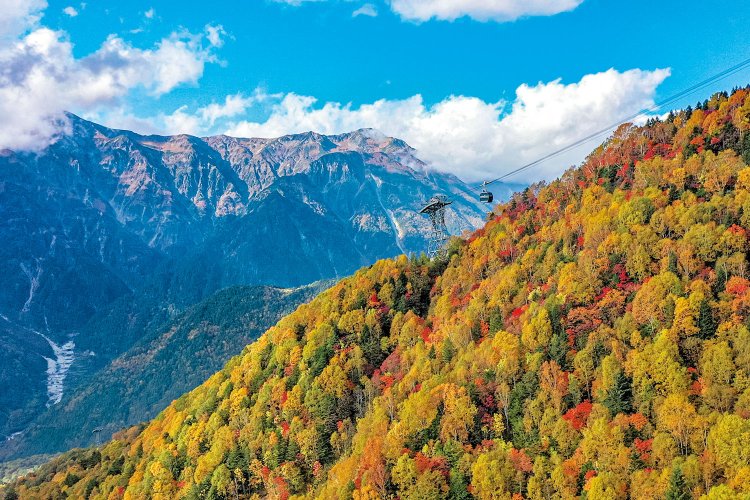 笠ヶ岳を背後に望みながら、紅葉の斜面を駆け上る第2ロープウェイ。