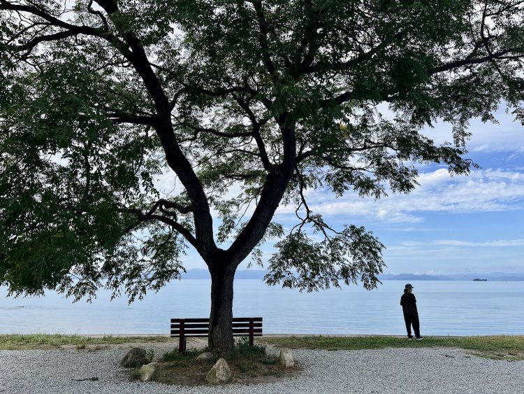 「あのベンチ」。