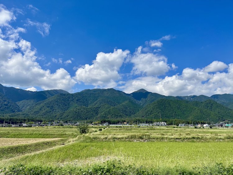 比良山地と田んぼ。