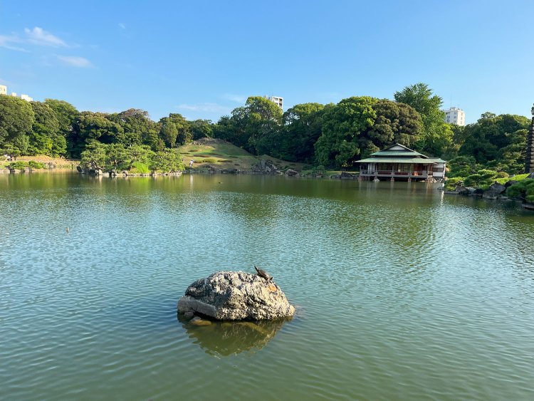 大泉水を一周し、見事な枯山水や全国から集まられた名石を楽しみたい。入園料は一般個人150円。