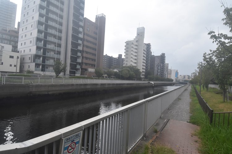 木場公園からは仙台堀川に沿って続く遊歩道を歩く。