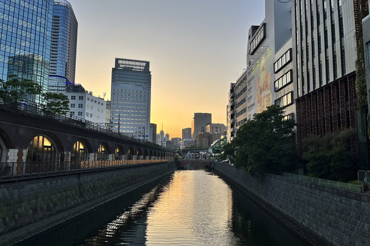 神田川下流、万世橋から見たところ。