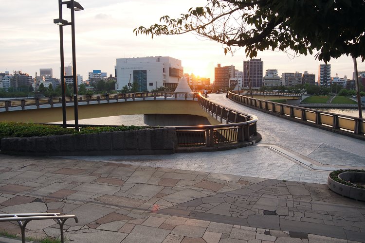 墨田区側から見たところ。