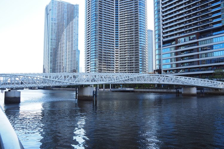 晴海の北側から見たところ。勝どきのマンション群がすぐそば。