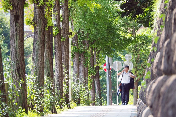 八ツ山橋～新八ツ山橋間の上り坂。線路敷設の際は御殿山や八ツ山を切り崩した土砂を使用したそう。