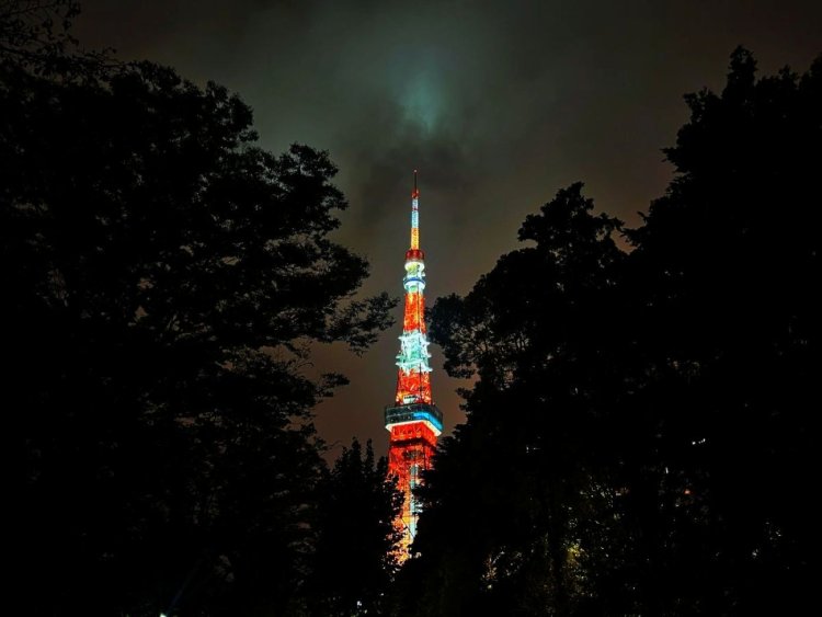 さんたつ読者＆編集部おすすめ！秋に楽しみたい「夜散歩」11選