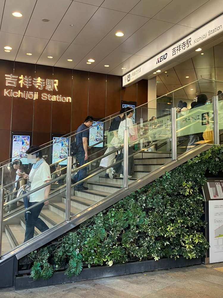 階段の横がグリーンというのは珍しい気もする。目に優しい。