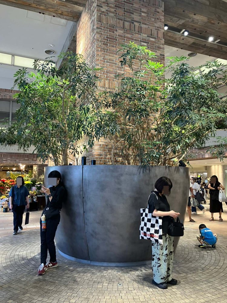 北口に面したアトレ入り口から入ると、まず目に留まる大きなグリーン。ここ「はなびの広場」では、観葉植物の根元で待ち合わせする人の姿も多く見られる。